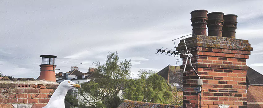 Chimney Cleaning And Restoration in Miamisburg, Ohio